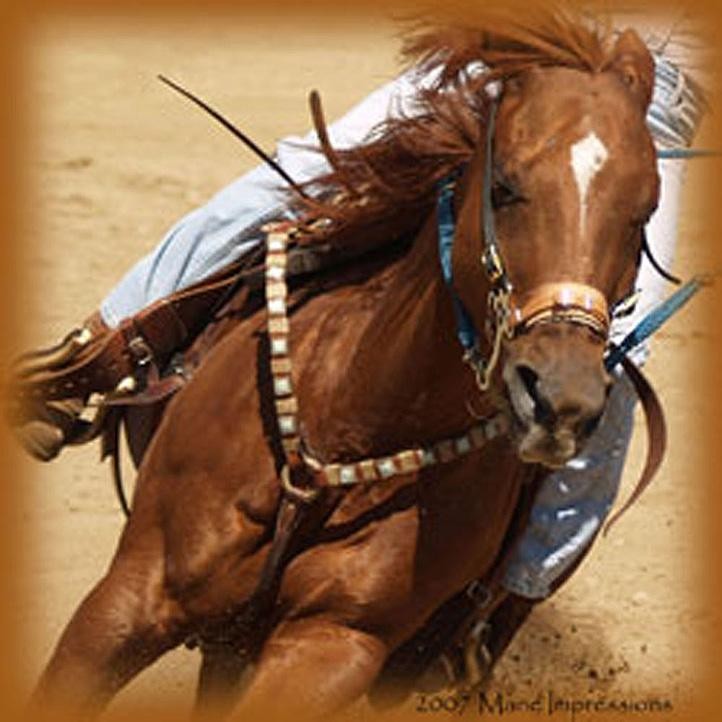 Unknown Artist hosr07